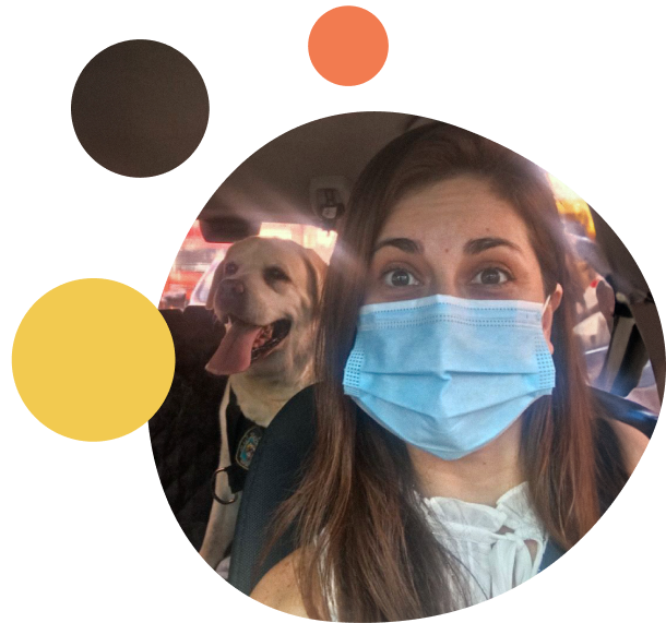 taxi-dog-sp-priscila